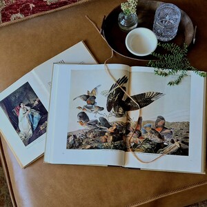 Peut inclure: Deux livres reli&eacute;s ouverts pr&eacute;sentant des illustrations d'oiseaux et une personne en robe blanche. Un plateau circulaire marron fonc&eacute; contient un petit vase en verre transparent avec des fleurs blanches, un bol en c&eacute;ramique et un verre taill&eacute;.