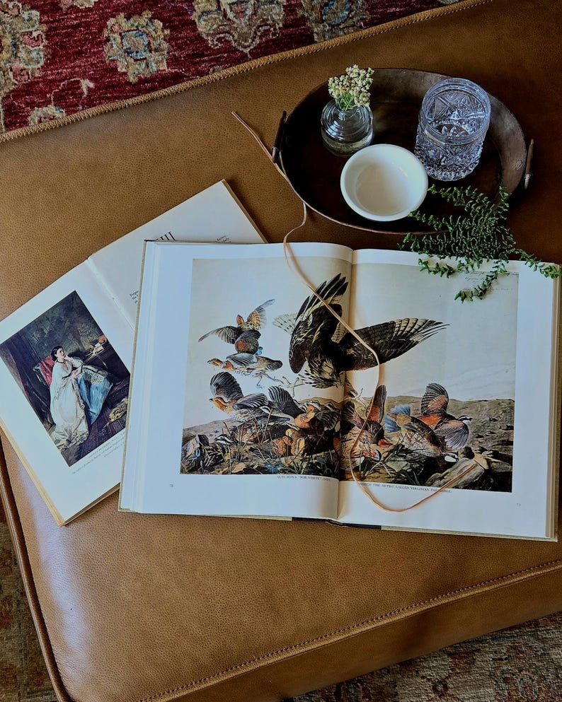 Peut inclure: Deux livres reli&eacute;s ouverts pr&eacute;sentant des illustrations d'oiseaux et une personne en robe blanche. Un plateau circulaire marron fonc&eacute; contient un petit vase en verre transparent avec des fleurs blanches, un bol en c&eacute;ramique et un verre taill&eacute;.