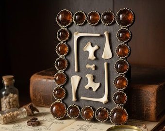 Framed Turtle Bone Art | Gothic Curiosity Cabinet Display