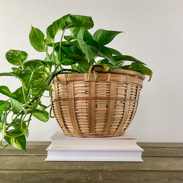 Woven Rattan Wicker Basket with Bamboo Handle, VINTAGE 8" Planter Cachepot, Natural Boho Coastal Decor