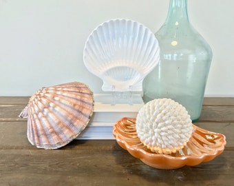 Vintage Sea Shell Dish, Decorative Jewelry Tray, Coastal Decor, Multi Avail
