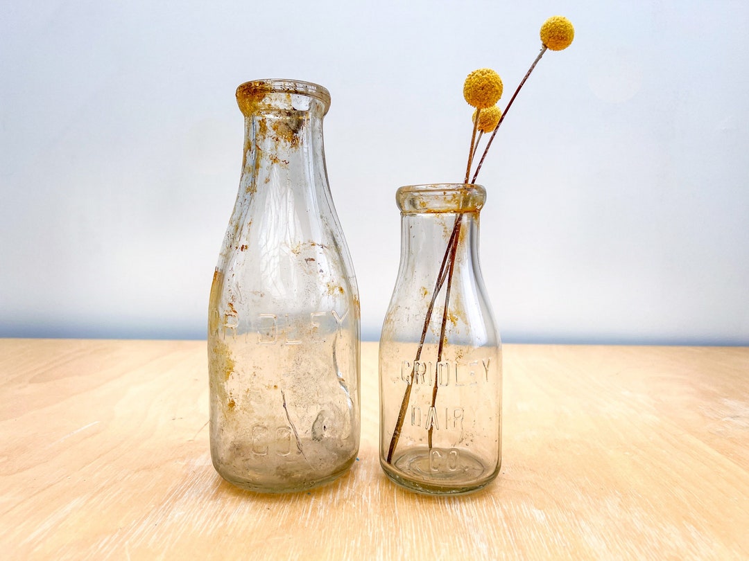Antique Gridley Dairy Co Milk Bottles Found in Wisconsin, Set of 2