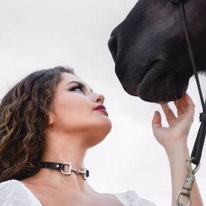 Leather Choker and Snaffle Bit