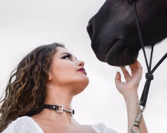 Leather Choker and Snaffle Bit