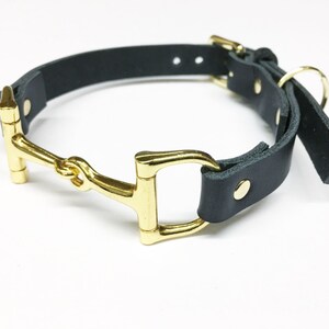 equestrian leather dog collars