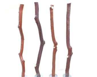 Natural Manzanita Bird Perches - Oven Cured Wood * Set of Four - 10" long 3/8" to 1/2"