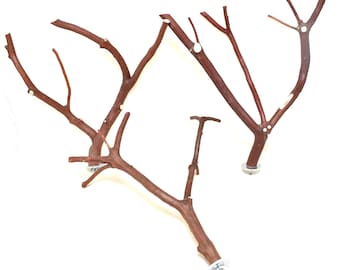 Manzanita Bird Perches Set of THREE Multibranch - All Natural, Oven Cured * Quality