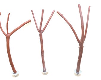 Manzanita Bird Perches All-Natural Hard Wood Oven Cured Set of 3 * Sweet!