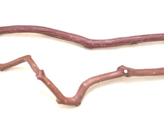 Manzanita Bird Perches Set of Two Oven Cured All Natural * Sweet!