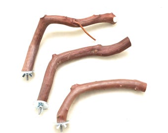 Manzanita Bird Perches: Cage Top Branch, Oven Cured, Set of 3, All natural * Perfect!