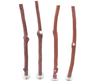 Natural Manzanita Bird Perches - Oven Cured Wood * Set of Four  10" Long