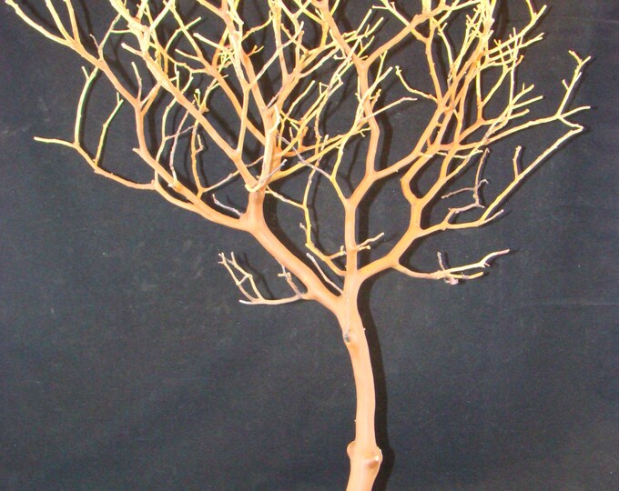 Manzanita Branches 6pack Premium Centerpieces Crafts Floral Etsy