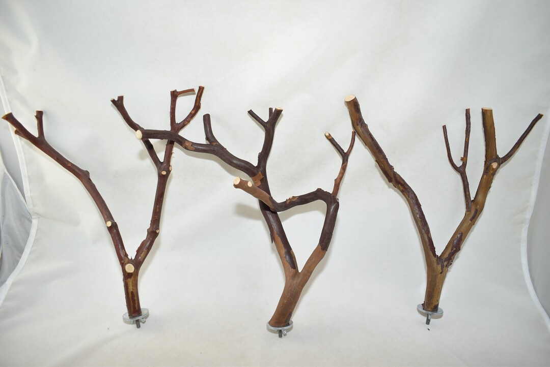 Manzanita Bird Perches Multibranch Set of 3 With Hardware Etsy