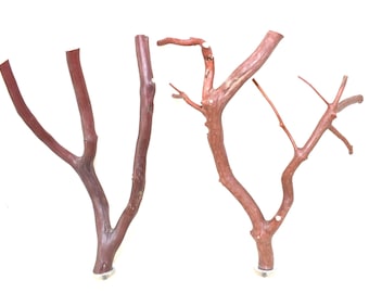 Manzanita Bird Perches Set of Two All Natural Oven Cured * Perfect