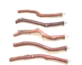 Manzanita Bird Perches  Set of FIVE  All Natural Oven Cured About 1/2" Dia. * Very Sweet Deal