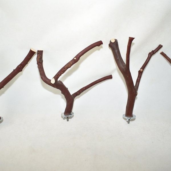 Manzanita Bird Perches Multibranch Set of 4 with Hardware  *Smooth & Bumpy Bark