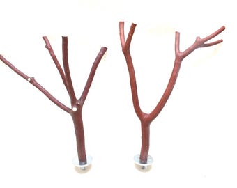 Manzanita Bird Perches Oven Cured Set of 2 *All Natural * Sweet Feet :)