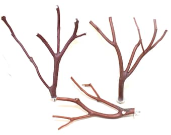 Manzanita Bird Perches All-Natural Set of 3 Oven Cured * Happy Feet