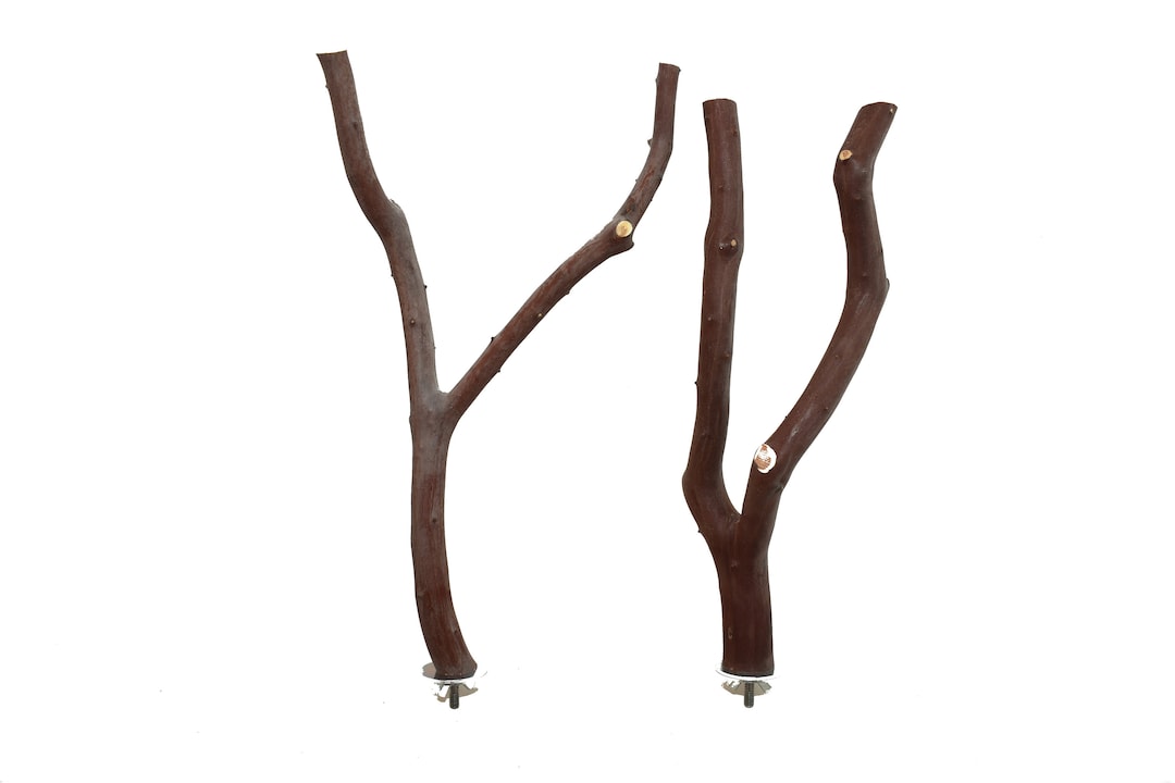 Manzanita Bird Perches Forked Multibranch Set of 2 With Hardware Sweet