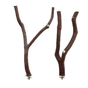 Manzanita Bird Perches Forked Multibranch Set of 2 with Hardware  * Sweet Deal