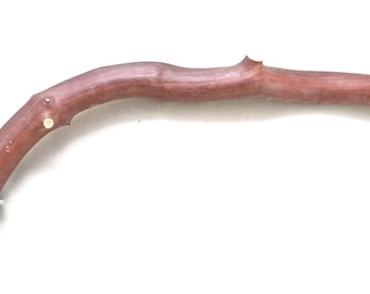 Manzanita Bird Perch: Cage Top- All Natural- Oven Cured  * 1" Diameter