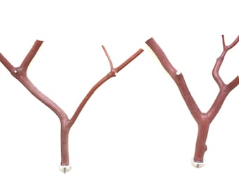 Manzanita Bird Perches Oven Cured Chemical Free Wood Set of 2 * Sweet Feet