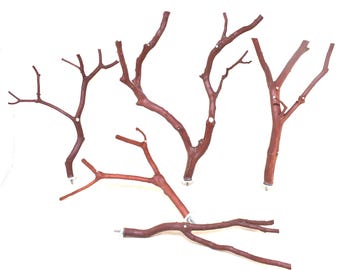 Manzanita Bird Perches All Natural Oven Cured Set of FIVE * Perfect Wood