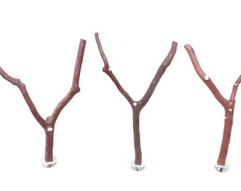 Manzanita Bird Perches: Natural Wood Forks Set of 3 - Oven Cured * 10 inches long