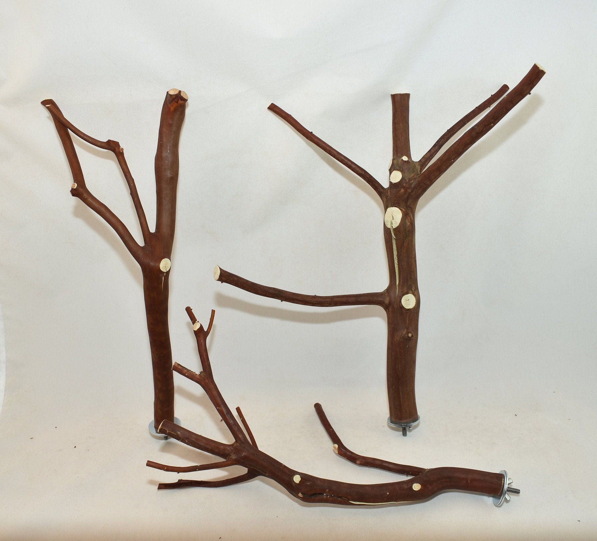 Manzanita Bird Perches Set of THREE Multibranch with Hardware Etsy