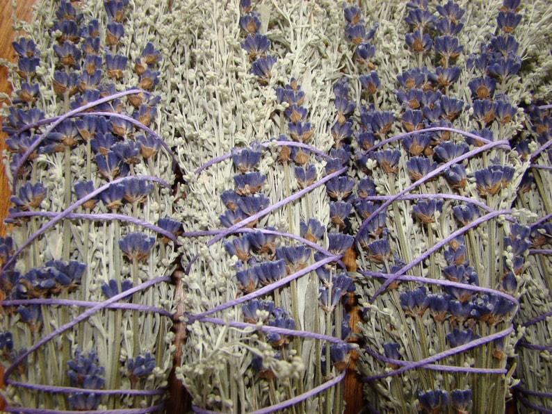 Smudge Bundle, Sage and Lavender , Cotton Twine, Smudge Stick SWEET image 7