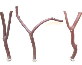 Manzanita Bird Perches: Natural Wood Set of Three * 10" to 11" Long 3/4" to 1/2"