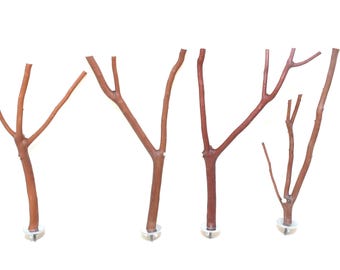 Manzanita Bird Perches Set of 4 Oven Cured Natural Wood, Chemical-Free        * Happy Songs