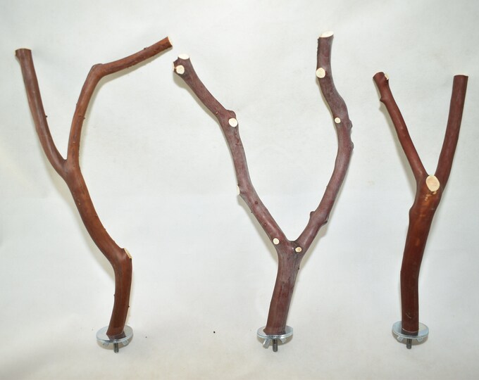 Manzanita Bird Perches Forked Multibranch Set of 3 With Hardware Nice