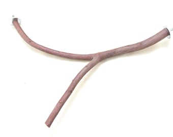 Manzanita Bird Perch- Corner Mount-All Natural - Oven Cured - * 15" long