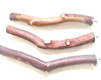 Manzanita Bird Perches Set of Three All Natural Oven Cured Wood  * Peely Bark