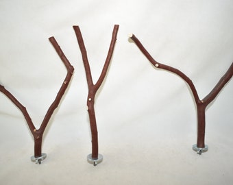 Manzanita Bird Perches Forked Multibranch Set of 3 with Hardware  * Smooth Bark