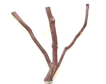 Manzanita Bird Perch All Natural Oven Cured Hardwood * Happy Feet