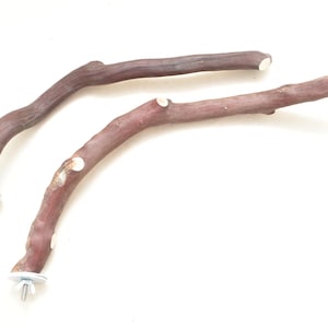 Manzanita Bird Perches Cage Top Single Branch with Hardware  Set of Two * Nice!