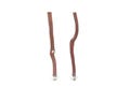 Manzanita Bird Perches For Smaller Birds Set of 2 All Natural Oven Cured