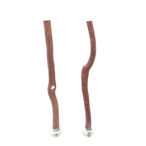 Manzanita Bird Perches For Smaller Birds Set of 2 All Natural Oven Cured