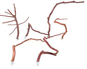 Manzanita Bird Perches Set of SIX : Natural Oven Cured Wood Cage Tops * Rare Set