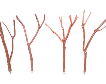Manzanita Bird Perches – Oven-Cured Wood, 11-13" Long, Set of Four * 1/2" to 1/8"