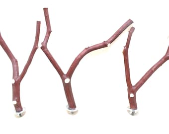 Manzanita Bird Perches: Natural Wood  Set of Three * 8" to 10" long 3/4" to 3/8"