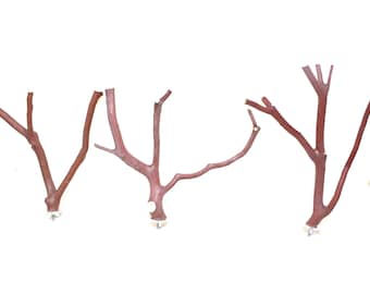 Manzanita Bird Perches All Natural Set of Three * 9" to 11" Long 3/4" to 1/4"