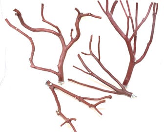 Manzanita Bird Perches Set of Four All Natural Oven Cured * Primo *