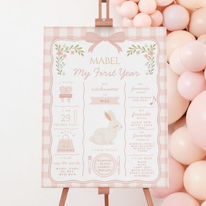 Może przedstawiać: Różowo-biały znak na drewnianym sztaludze z napisem "MABEL My First Year". Znak ma obramowanie w kratkę vichy i kwiatowe akcenty. Łuk z różowych balonów znajduje się w tle.