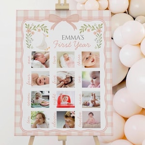 Silly Goose Birthday Photo Milestone Board Template, One Silly Goose Theme, Girl 1st Birthday Sign, Editable Poster, Floral Pink Gingham
