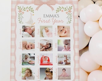 Dumme Gans Geburtstag Foto Meilenstein Tafel Vorlage, eine dumme Gans Thema, Mädchen 1. Geburtstag Zeichen, bearbeitbares Poster, Floral Pink Gingham