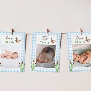 May include: Three blue and white gingham photo cards with a duck illustration and the text "One Month", "Two Months", and "Three Months". Each card has a photo of a baby.