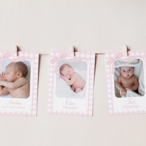 Pink Gingham Bow First Birthday Photo Milestone Banner, Pastel Bow Party Theme, Editable Template, Monthly Milestone, 1st Year Collage Decor